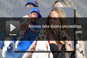 attorney talks divorce proceedings pets