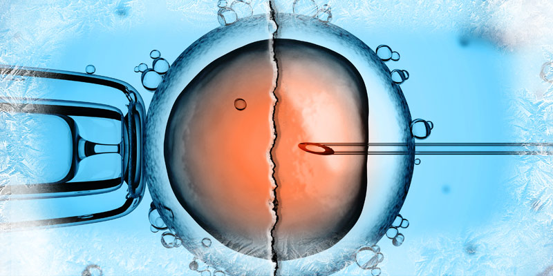A Frozen Embryo Caught in the Middle of Divorce 1