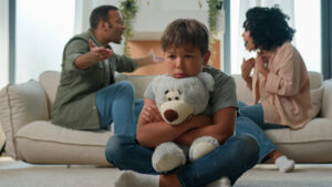 high conflict custody